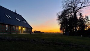 Eksteriør