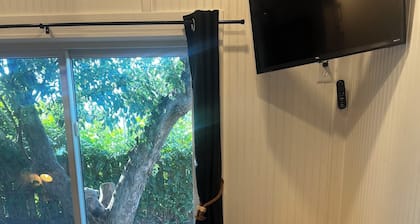 Tiny Home Alley Delight! Truly one of kind!