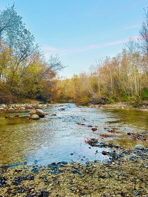 Miscellaneous - Sunny Carmel Valley Farmhouse w/ river access & walking distance to the village! (Carmel Valley)
