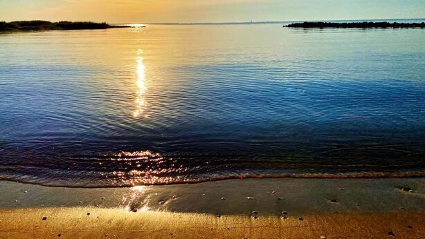 Une plage paisible, avec un ciel dégagé et le soleil se reflétant sur l’eau.