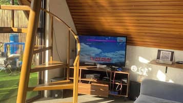 TV