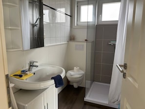 Shower, hair dryer, towels