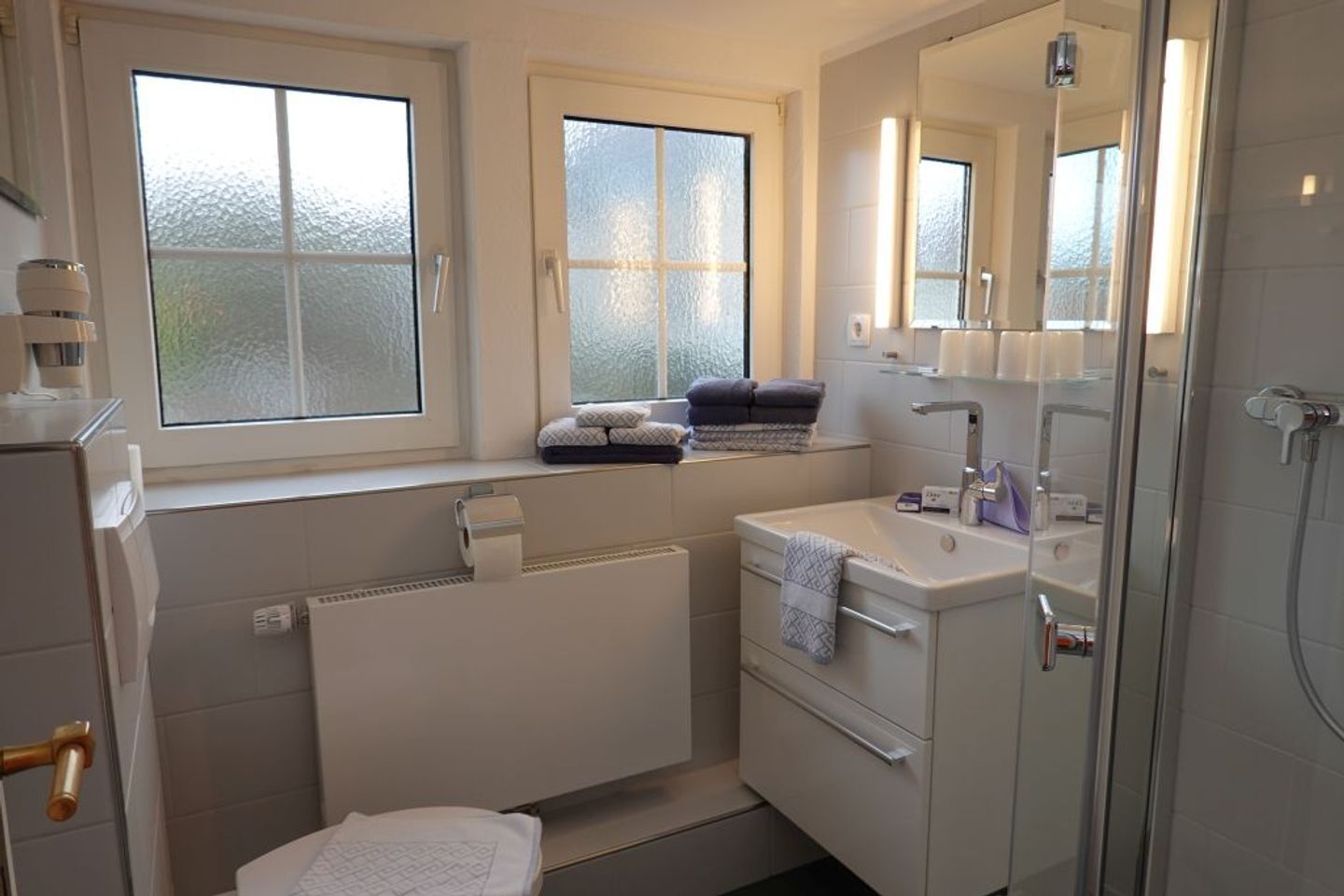 Shower, hair dryer, towels