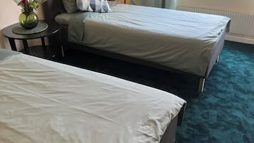 Habitación básica doble | Tabla de planchar con plancha y wifi gratis