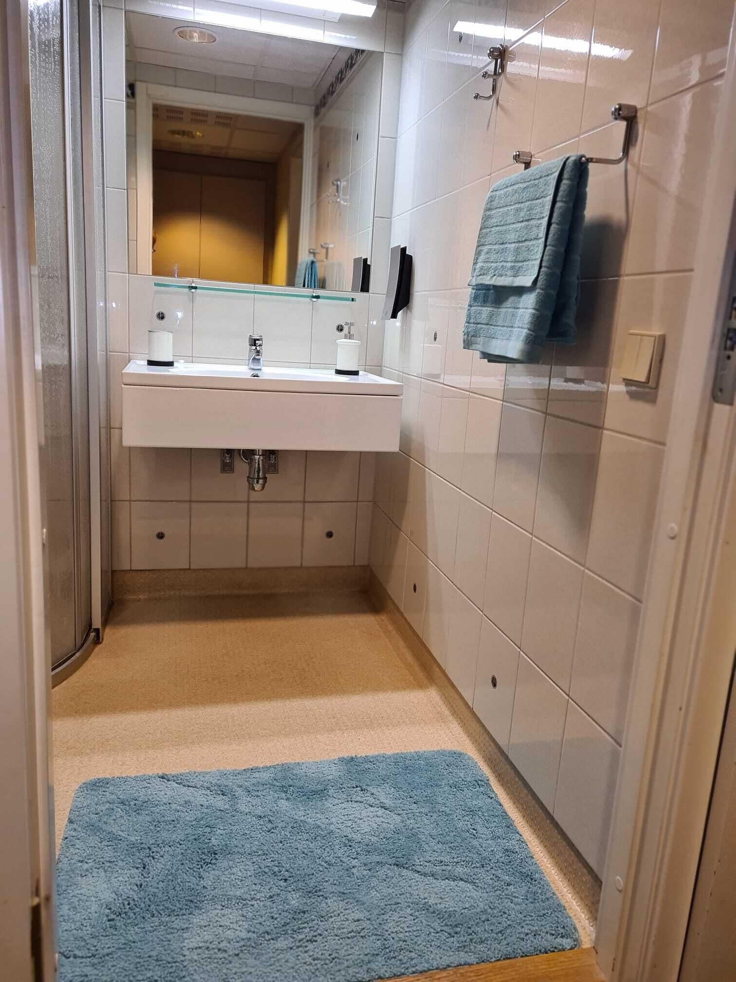 Shower, free toiletries, hair dryer, towels