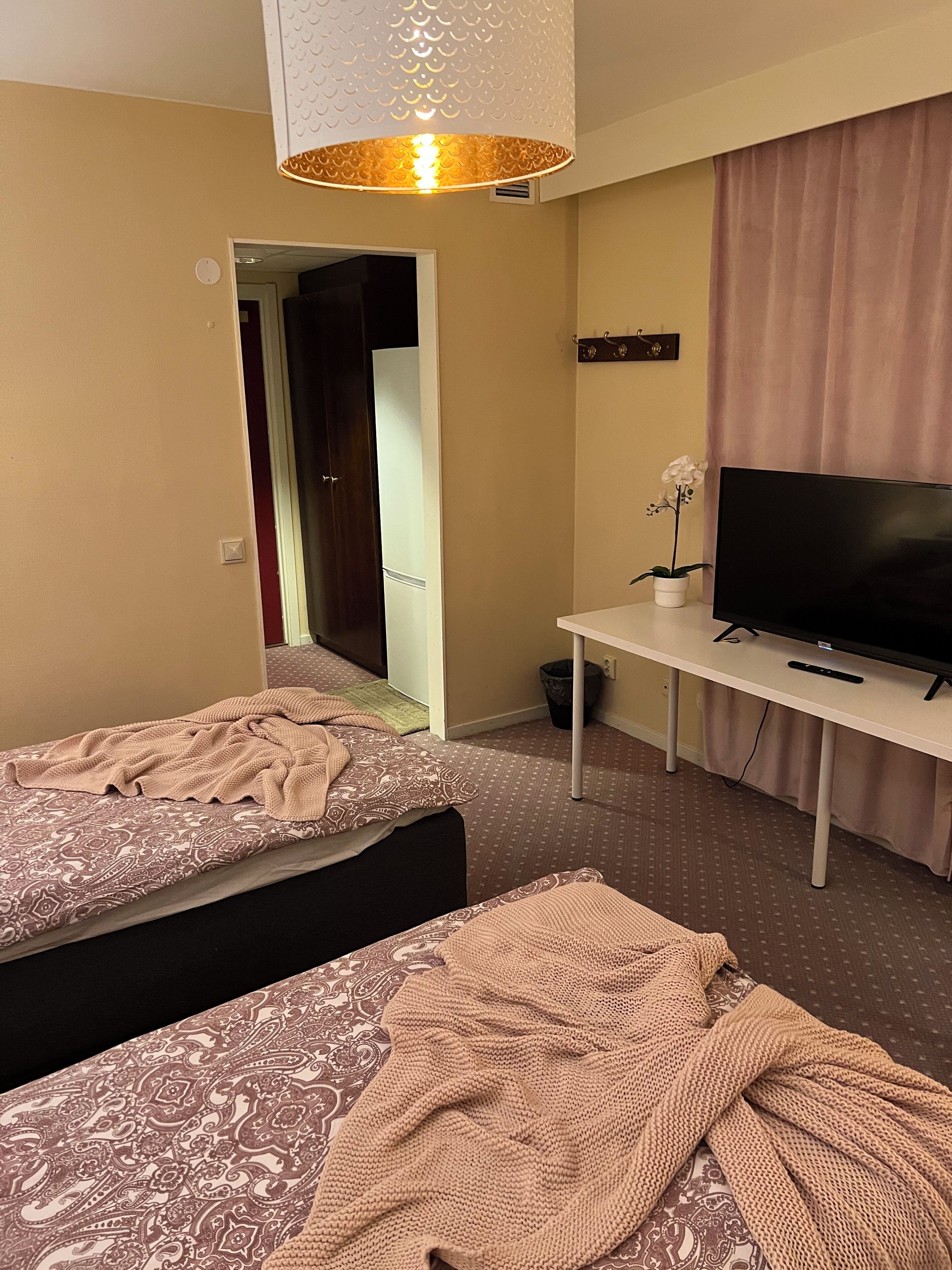 Une chambre d’hôtel avec deux lits, une télévision, un bureau et une plante en pot.
