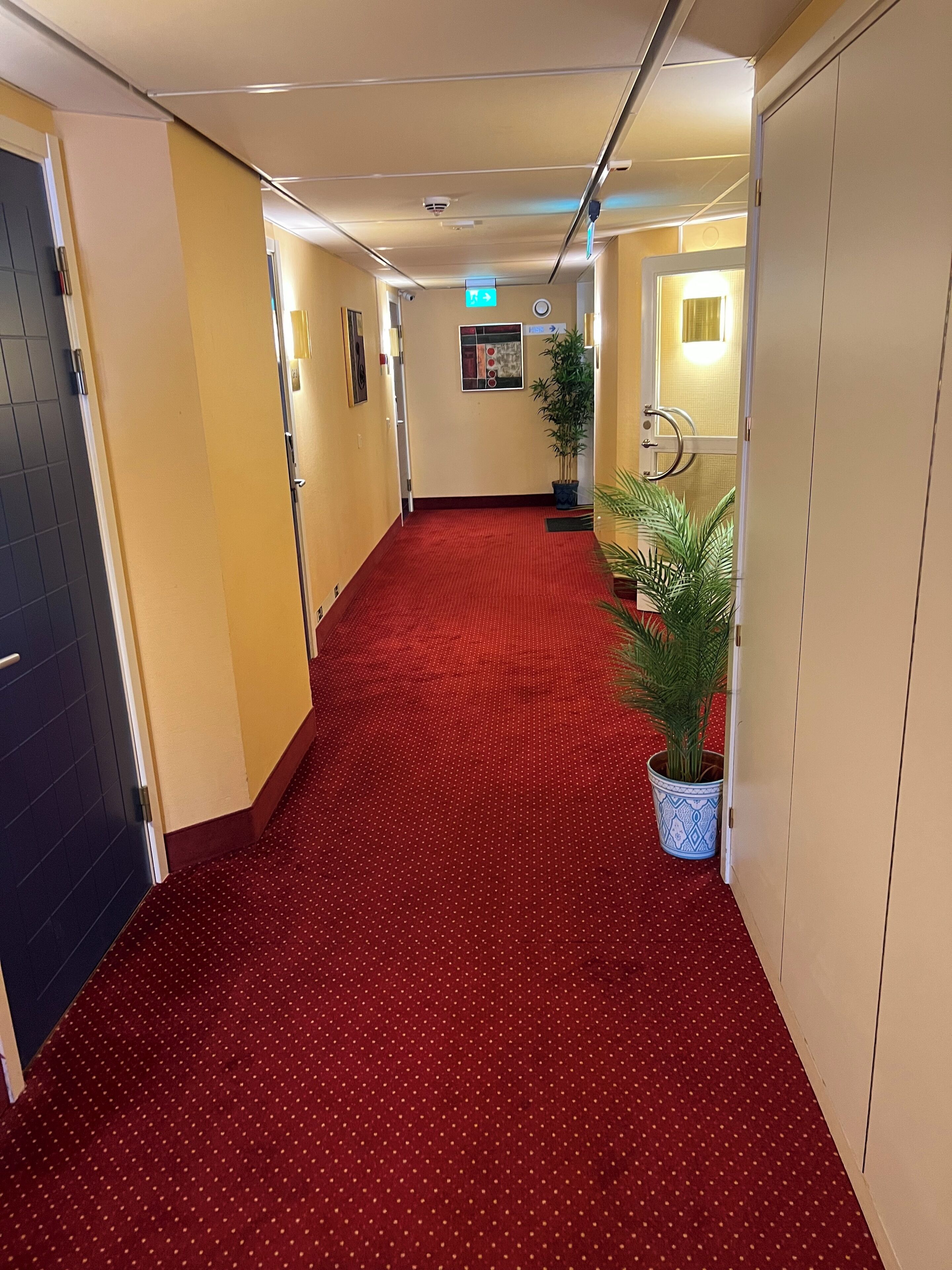 Un pasillo de hotel con alfombra roja, una planta en maceta y una puerta a la izquierda.