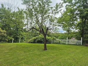 Àrea exterior de l'allotjament