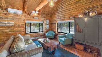 Smart TV, fireplace, DVD player, books