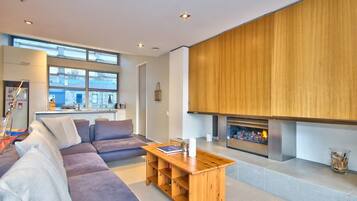 Smart TV, fireplace, books