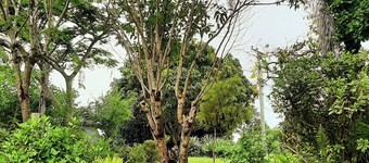 Country Cottage in Imbil (Mary Valley)
