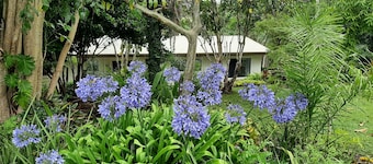 Country Cottage in Imbil (Mary Valley)