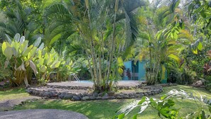 Un jardín tropical con piscina, sendero de piedra y un edificio pequeño al fondo.