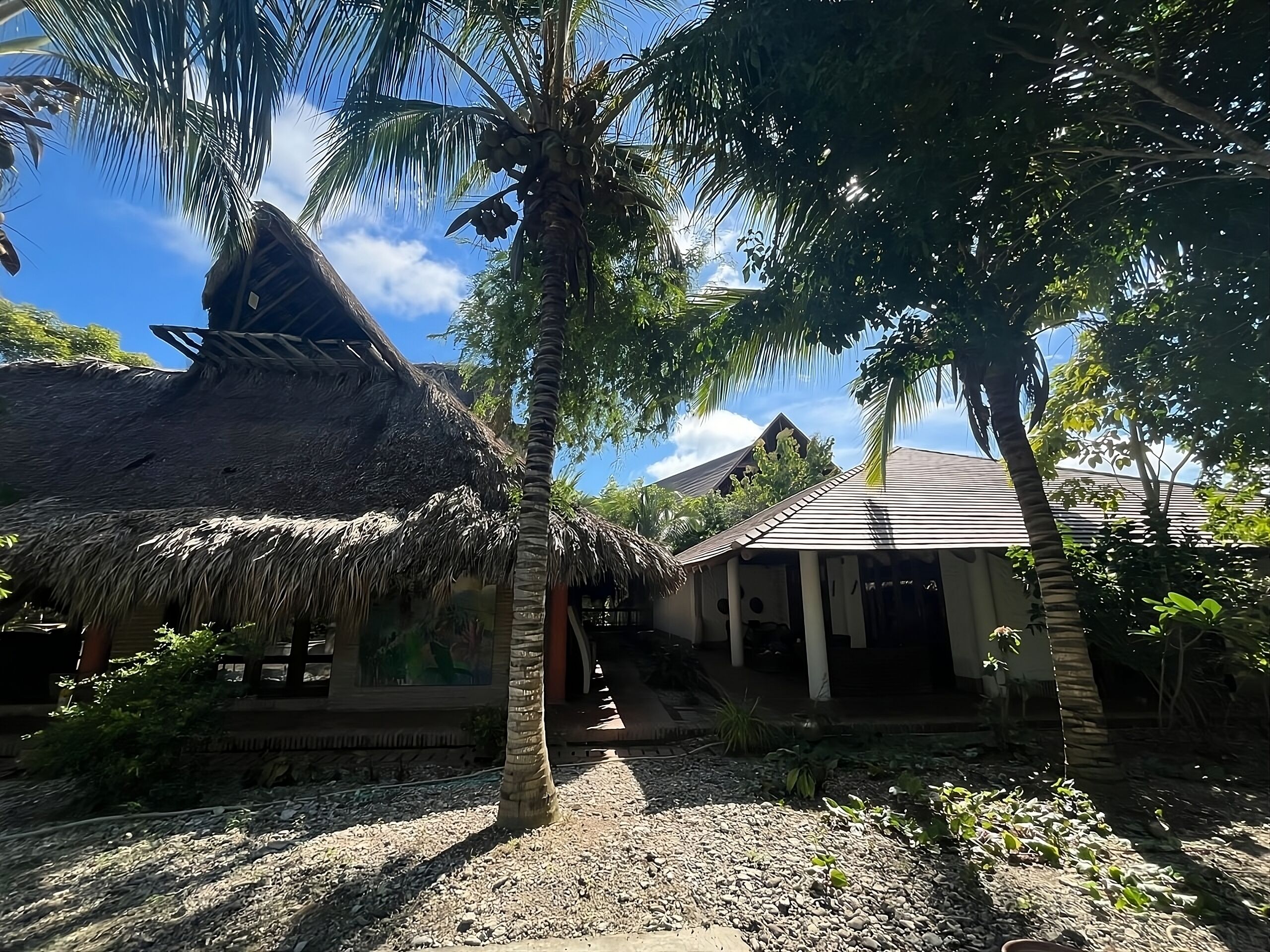 A thatched-roof structure with a tiled roof, surrounded by palm trees and a gravel path.