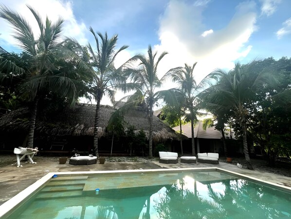 Una piscina con sillas de descanso y palmeras.