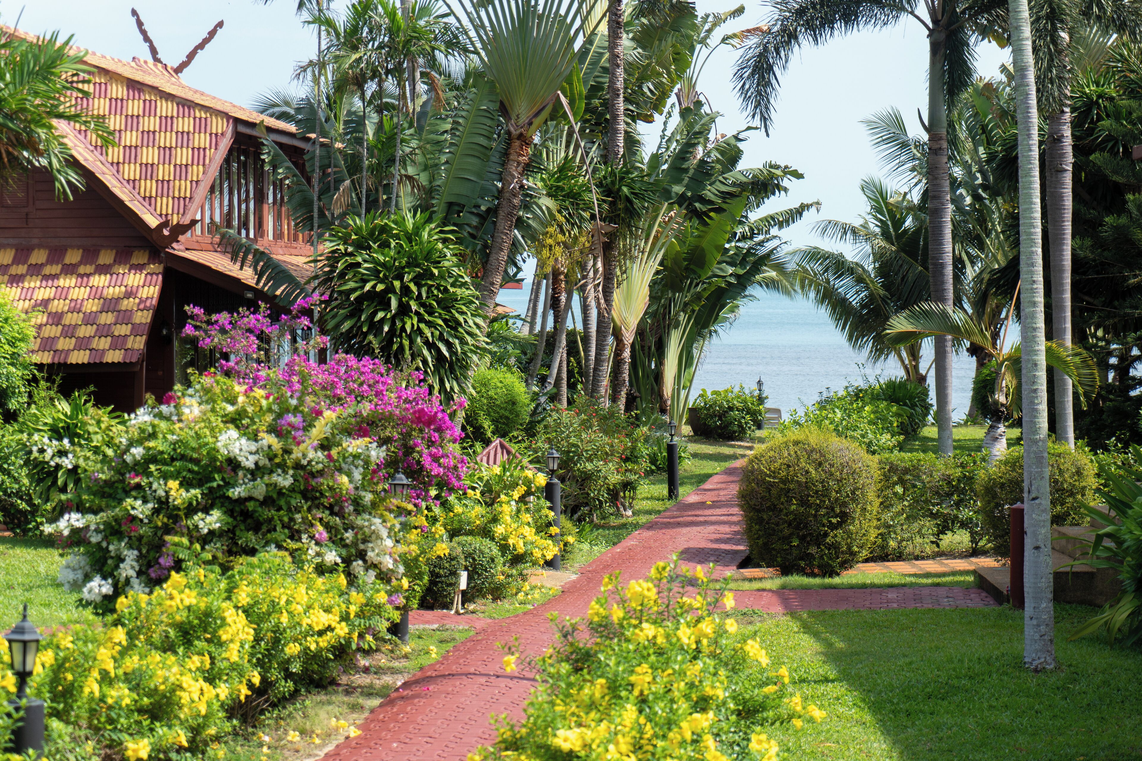 A pathway lined with tropical plants and a wooden building with a tiled roof.