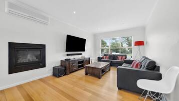 Smart TV, fireplace, books