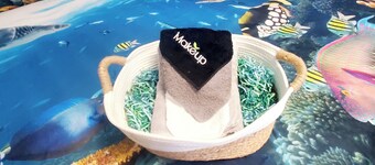 Star Gazers Paradise