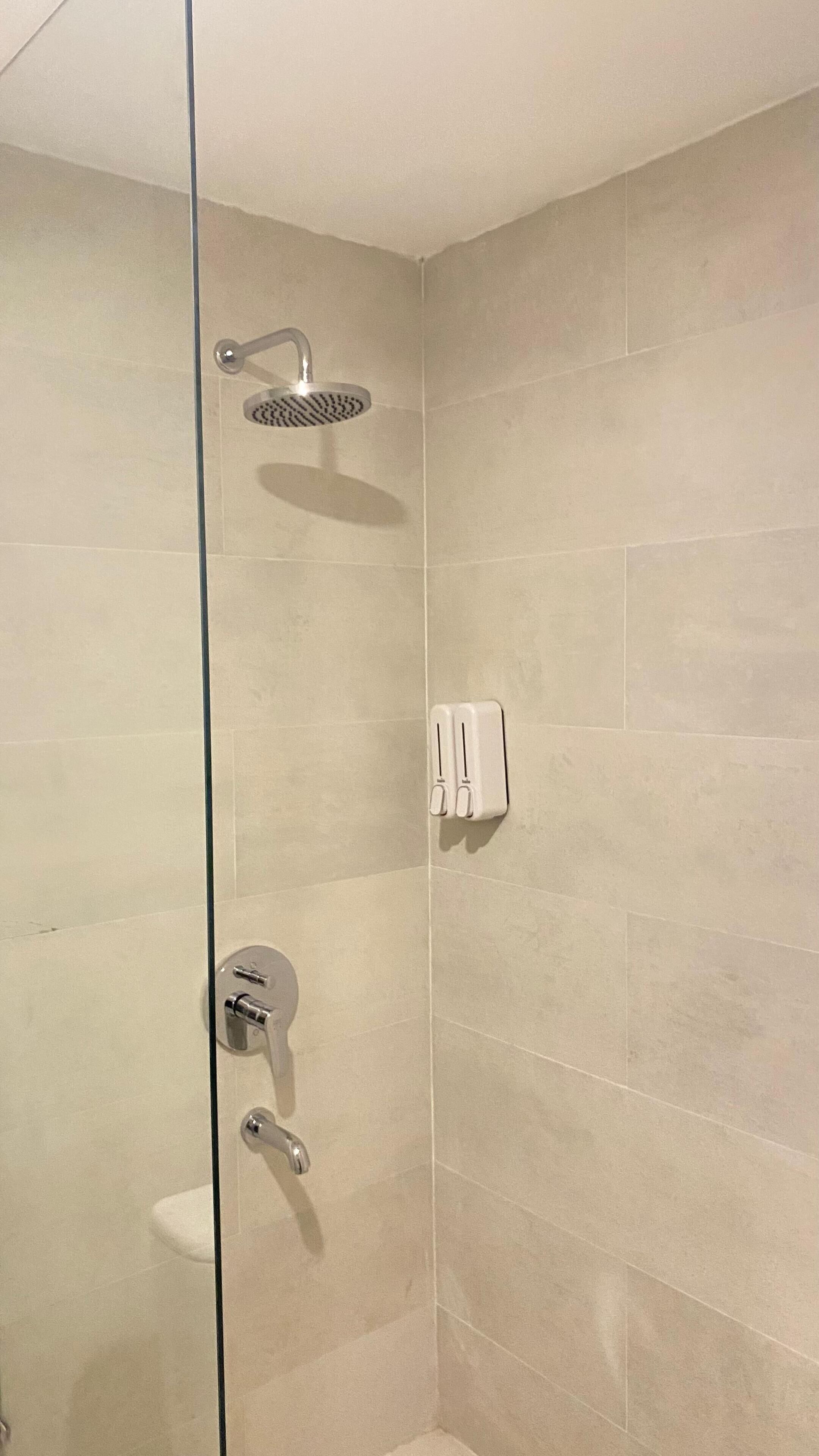 A shower with a handheld showerhead, a wall-mounted soap dispenser, and a control panel with a single lever.