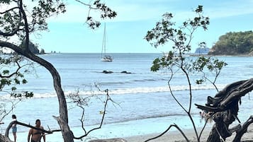 海滩