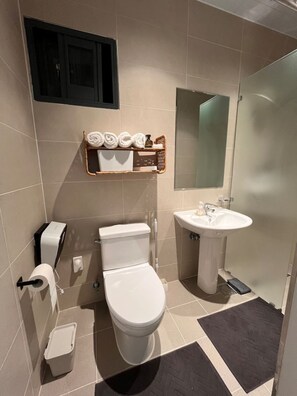 Hair dryer, towels, soap, toilet paper
