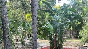 Un jardín con acolchado rojo, diversas plantas y una cerca de madera.