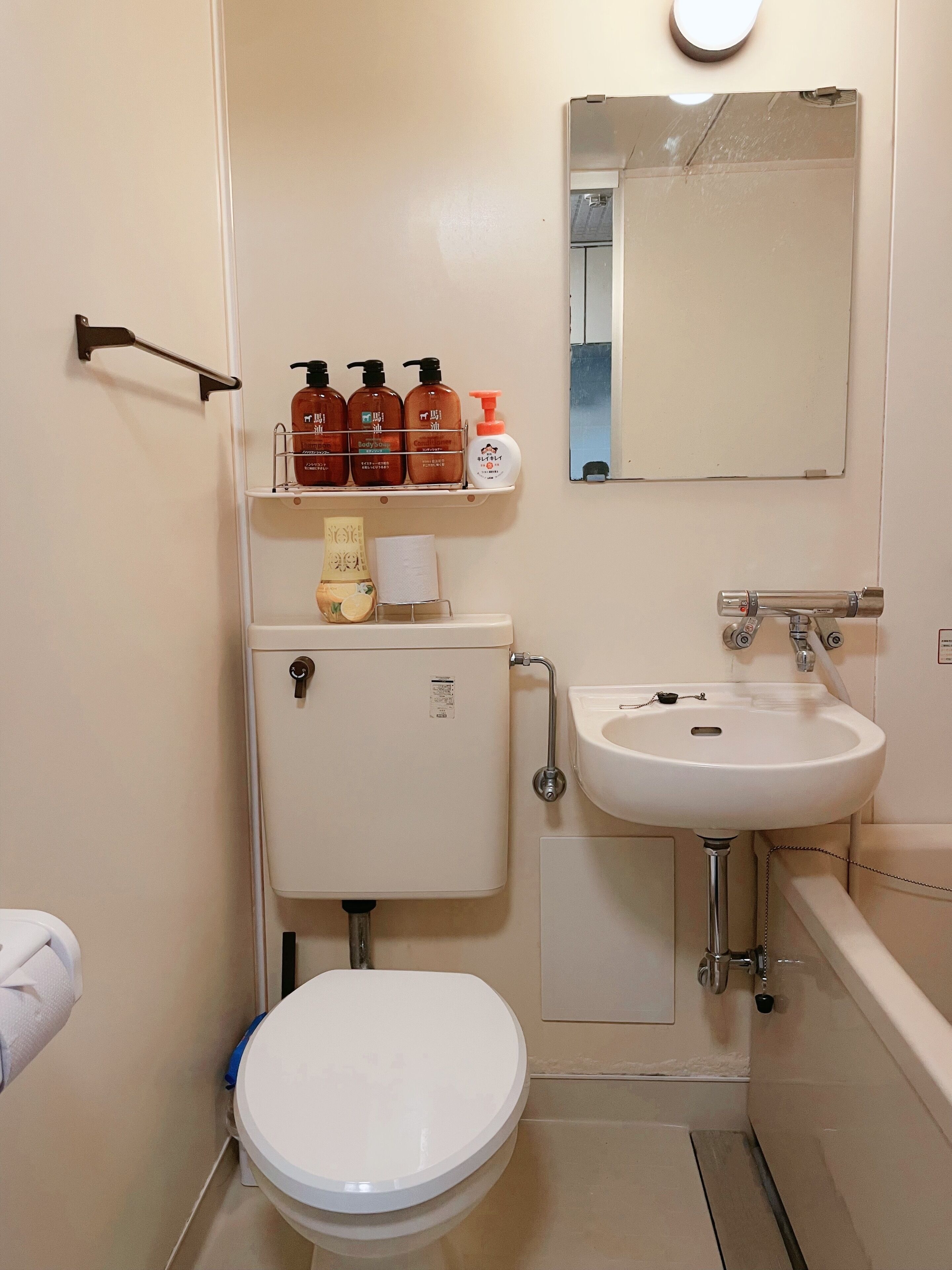 Assecador de cabells, tovalloles, sabó i xampú 