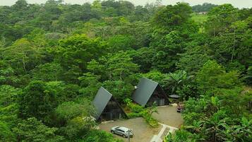 Dos edificios modernos y angulares ubicados en un bosque verde y frondoso.