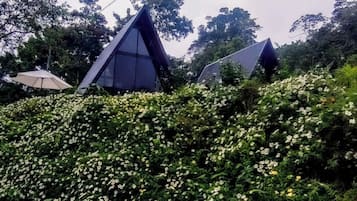 Un edificio moderno con una estructura de techo triangular en medio de abundante vegetación.