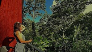 Varanda com vista para vegetação densa e céu claro.
