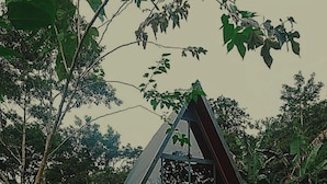 Uma casa moderna com telhado triangular, rodeada por vegetação exuberante e flores vibrantes.