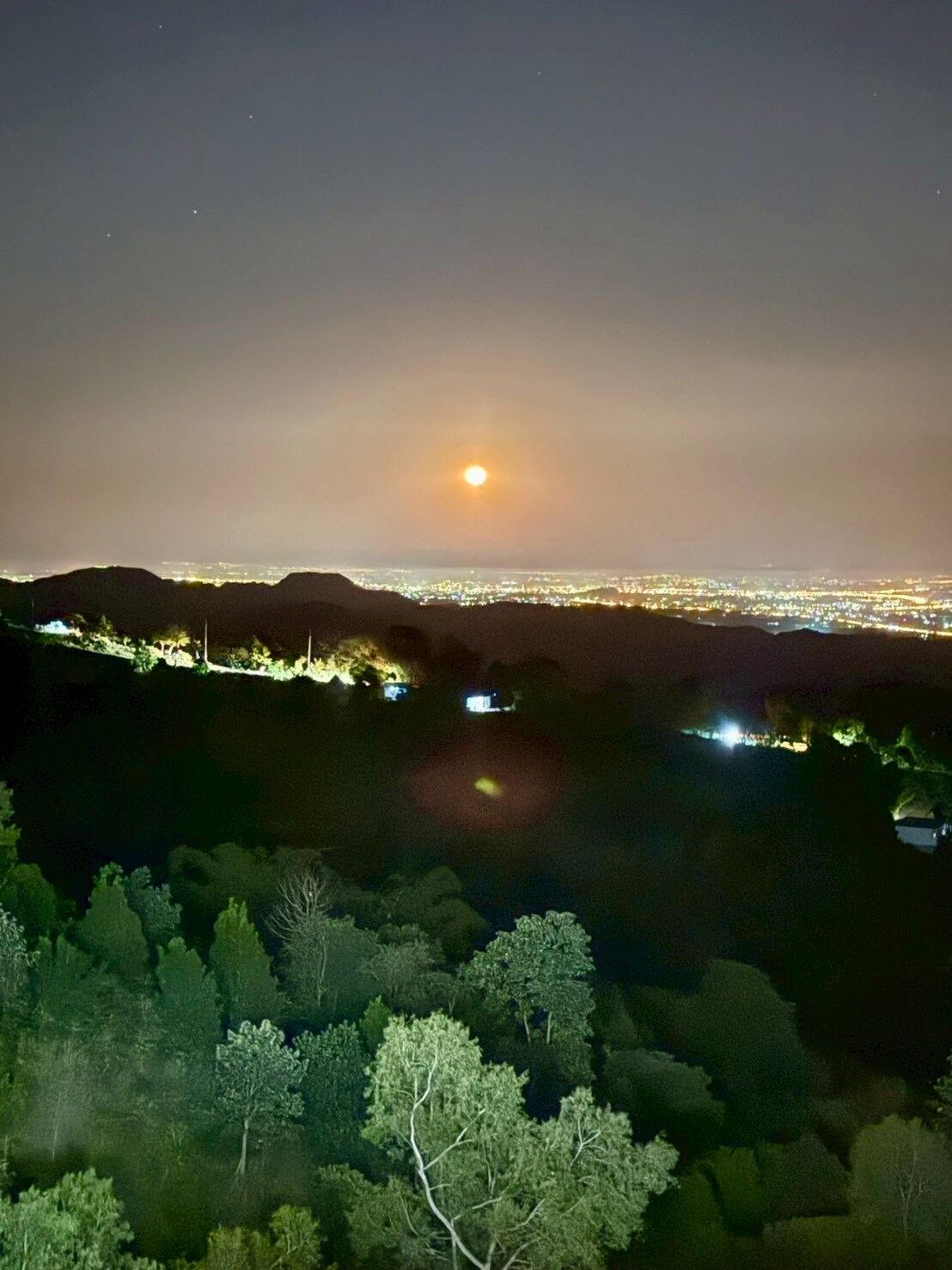 Vista nocturna de un paisaje urbano con una luna destacada en el cielo, rodeado de un área boscosa y luces de ciudad a lo lejos.