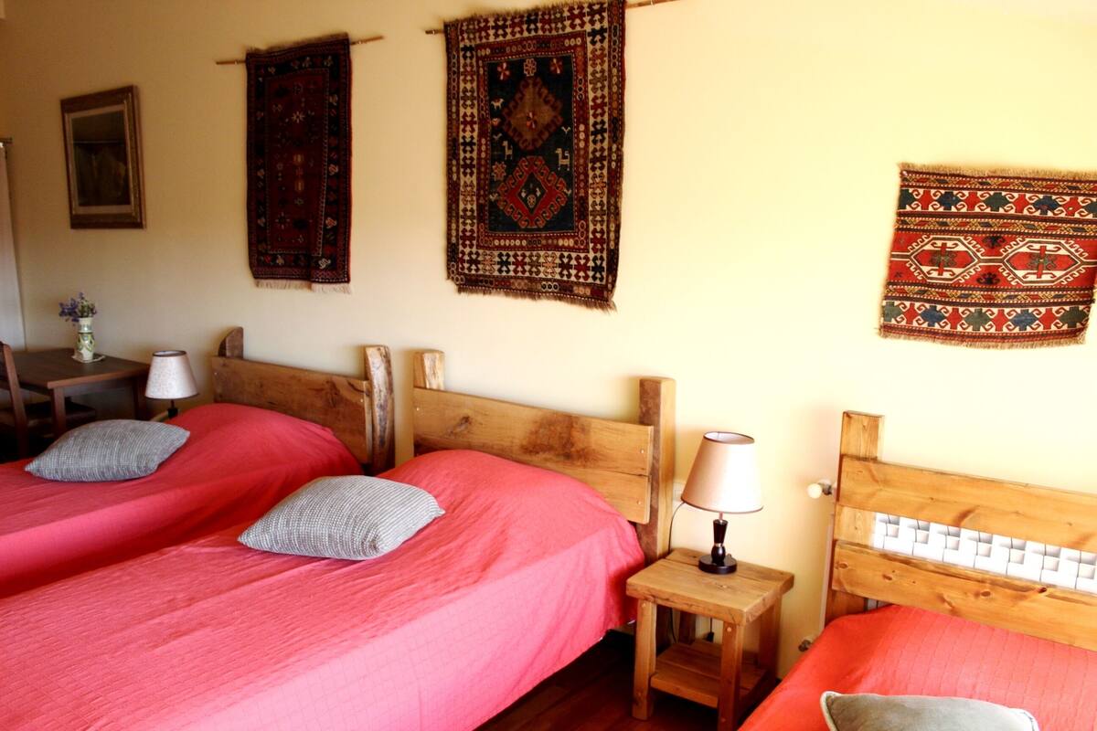 Desk, WiFi (free), bed sheets