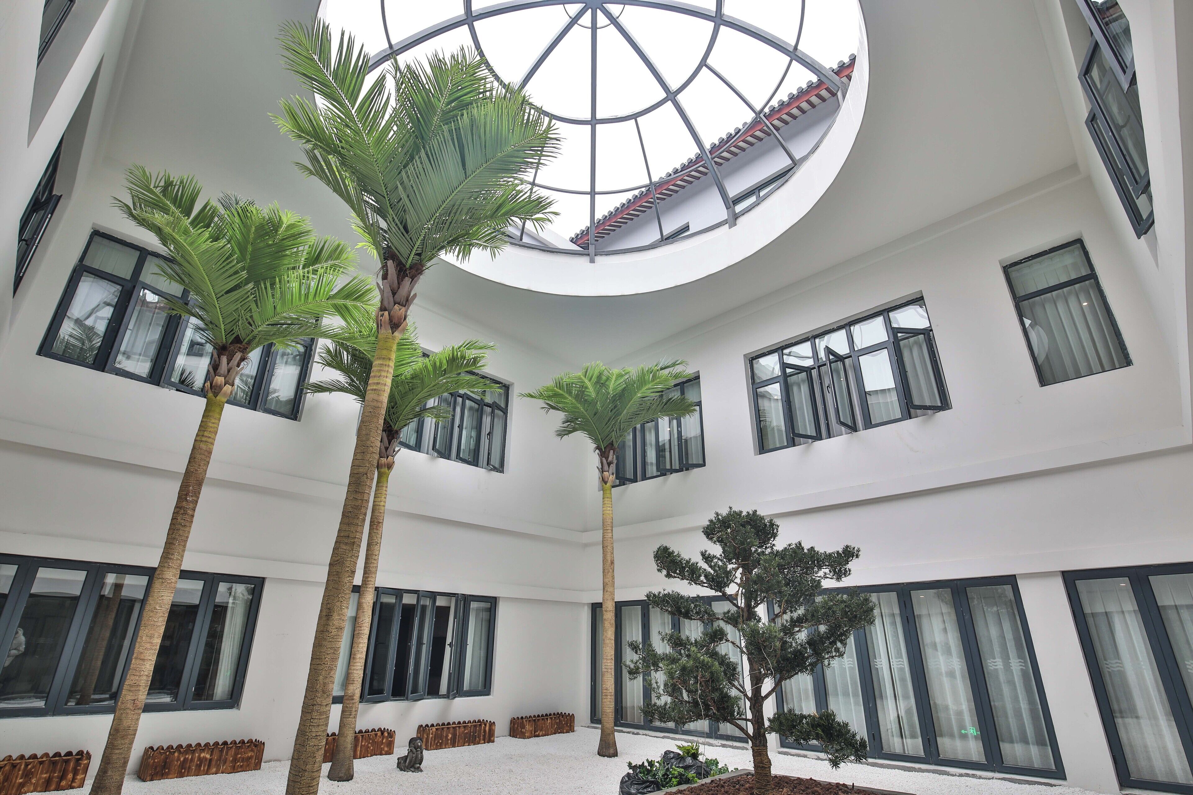 A multi-level atrium with palm trees, large windows, and a central skylight.