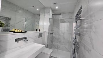 Shower, hair dryer, bidet, towels