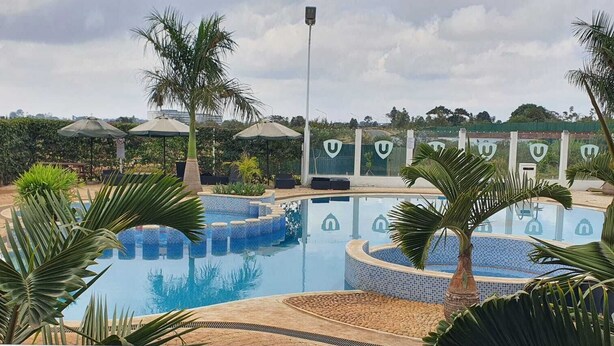 Una piscina con bordes azulejados, rodeada de palmeras y sombrillas, con vista a un paisaje urbano al fondo.