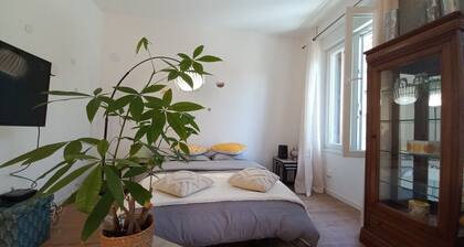 Charming Duplex in Heart of Mulhouse