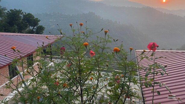 Unclassified image, 1 of 23, button - Srijana Farm Palpa (Mathillo Khasyauli)