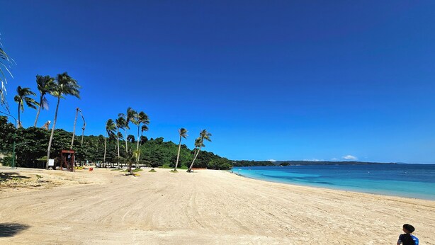 A sandy beach with palm trees and a clear blue sky.