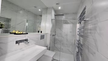 Shower, hair dryer, bidet, towels