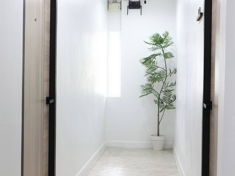 A hallway with two doors, a potted plant, and a ceiling-mounted air conditioning unit.