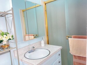 Shower, hair dryer, towels, soap