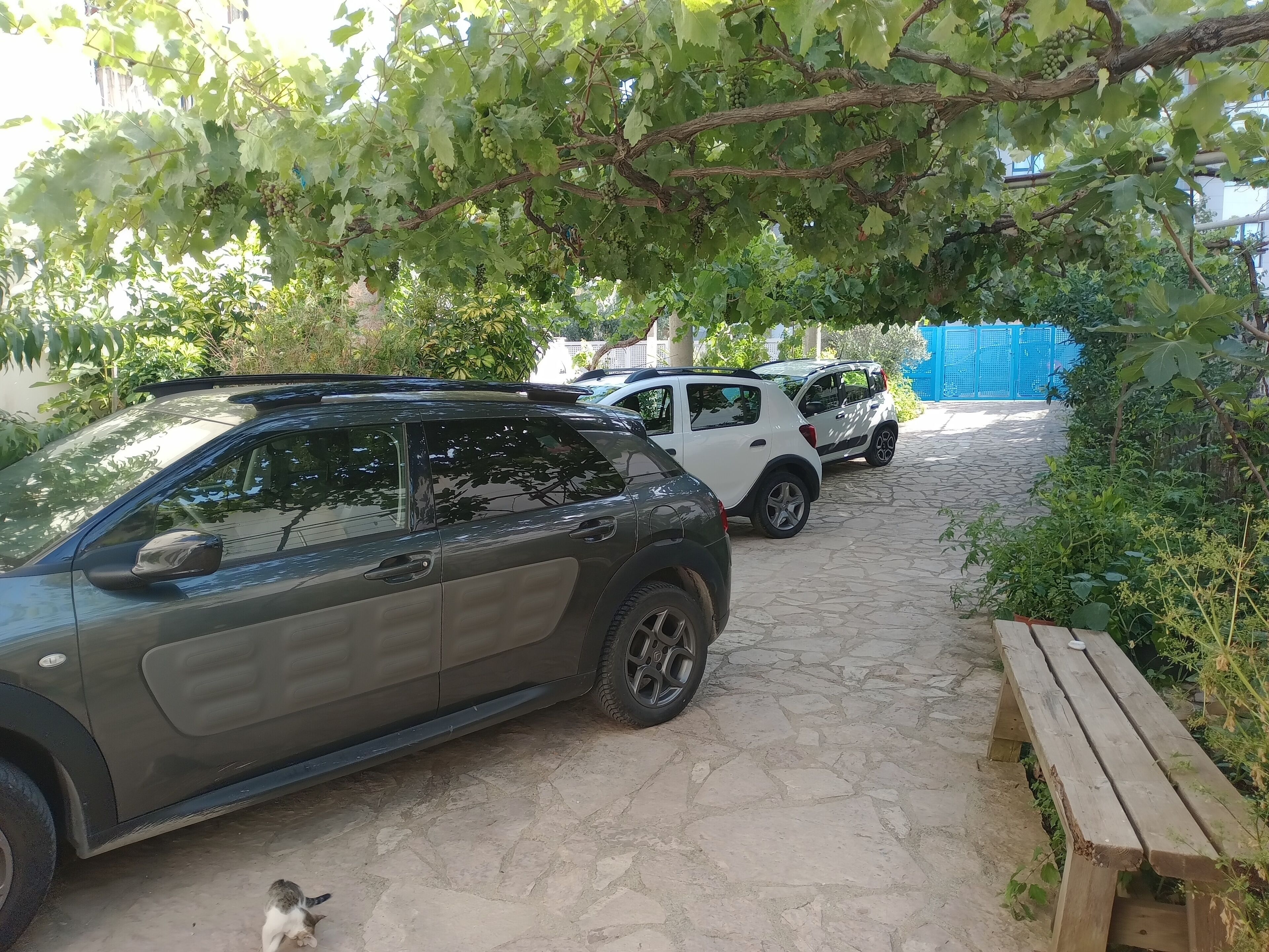 A parking area with two cars and a wooden bench.