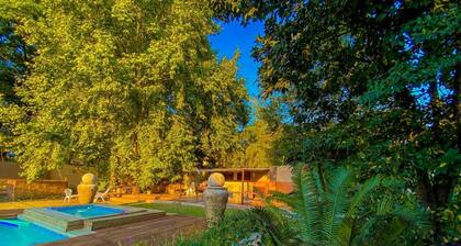 Afropolitan Guest Lodge