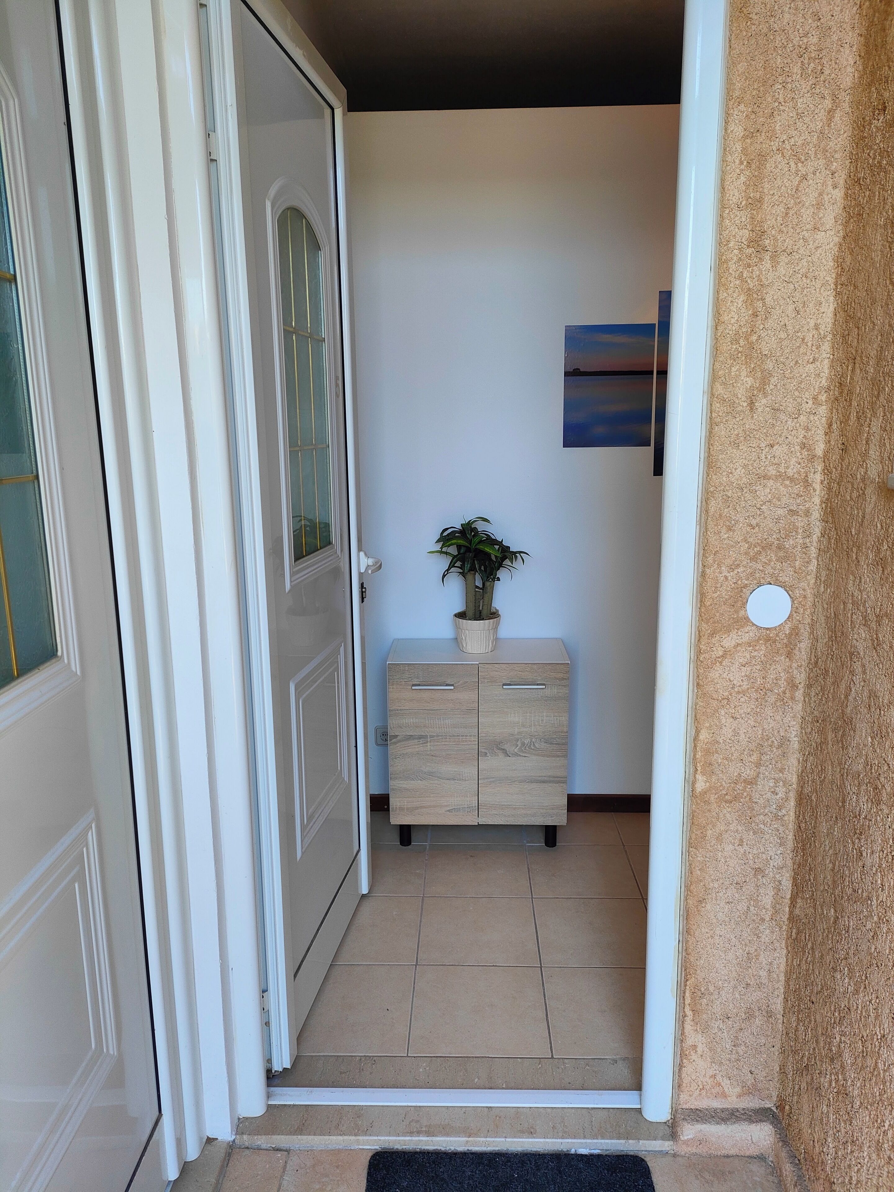 Un pasillo con un mueble de madera, una planta en maceta y un cuadro en la pared.