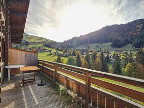 Property grounds - Cozy chalet in La Clusaz, 6 pers, 3 bdrms, Wi-Fi, pets allowed (La Clusaz)