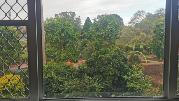 Blick durch ein Fenster mit Metallgitter, zeigt einen üppigen Garten mit verschiedenen Bäumen und einem Weg.