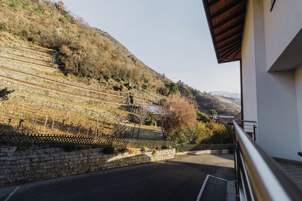 Overlooking a picturesque vineyard with rolling hills, this property offers a tranquil retreat with a balcony.