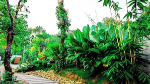 Un sendero de jardín con borde de piedra, rodeado de abundante follaje y plantas de bambú.
