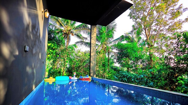 Una piscina con agua cristalina azul, rodeada de exuberante follaje y palmeras.